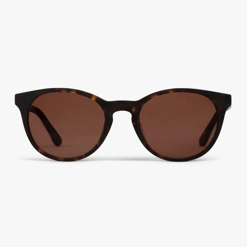 Men's Örebro Dark Turtle sunglasses with tortoiseshell frame and brown lenses