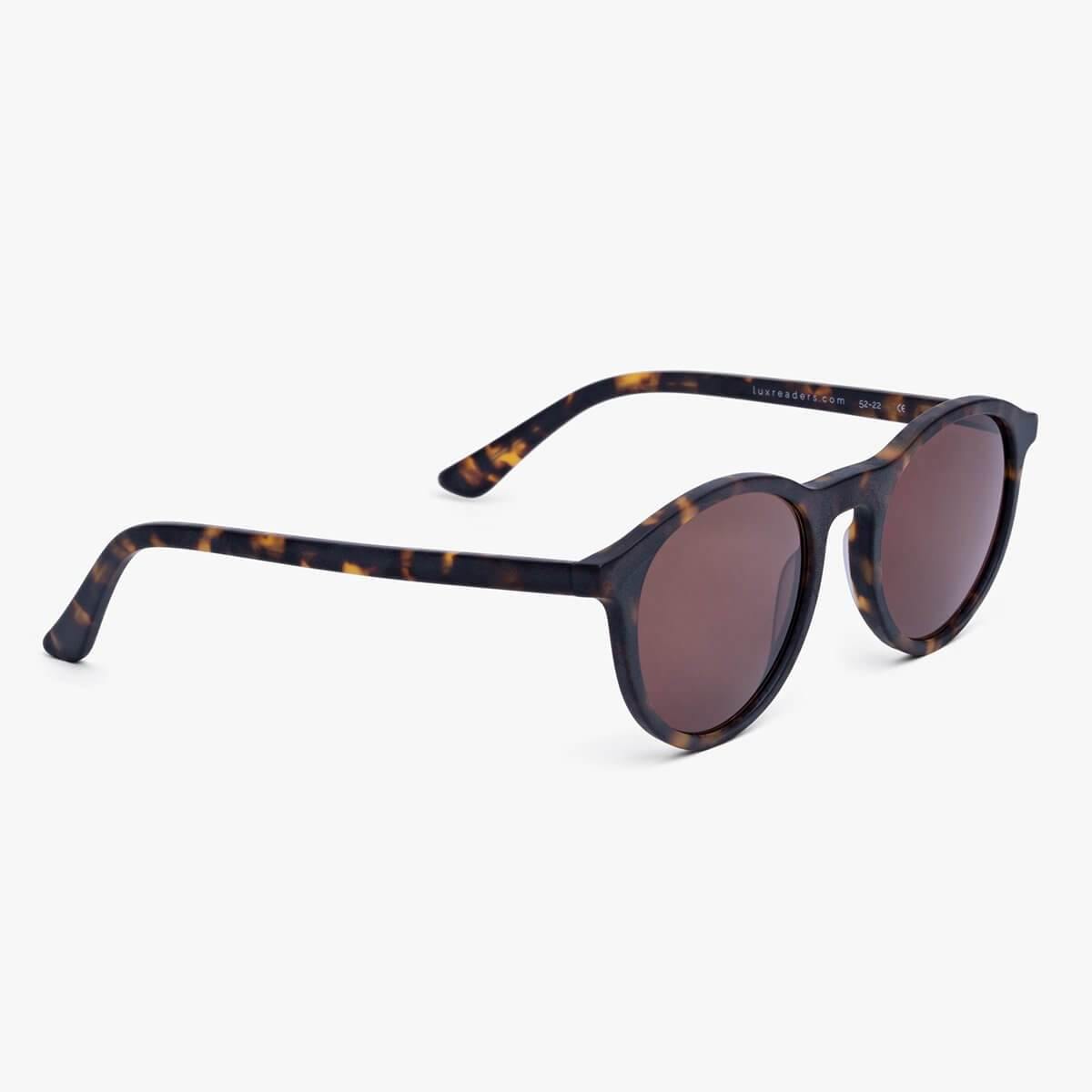 womens-lokken-dark-turtle_sunglasses_image-2.jpg?v=1771416785&width=1200