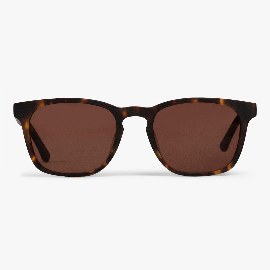 Buy Men's Baker Dark Turtle Sunglasses - Luxreaders.com