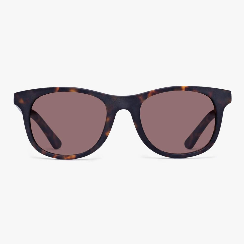 Buy Women's Evans Dark Turtle Sunglasses - Luxreaders.com