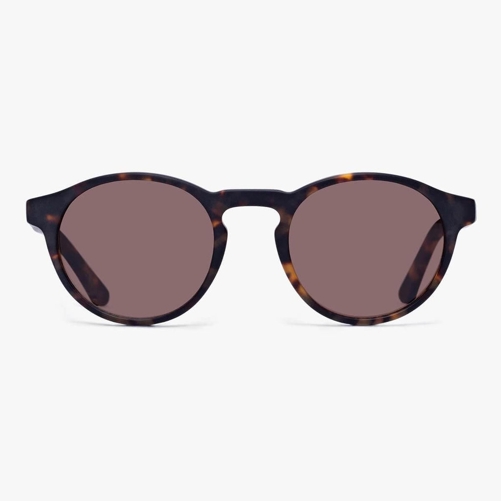 Buy Morgan Dark Turtle Sunglasses - Luxreaders.com