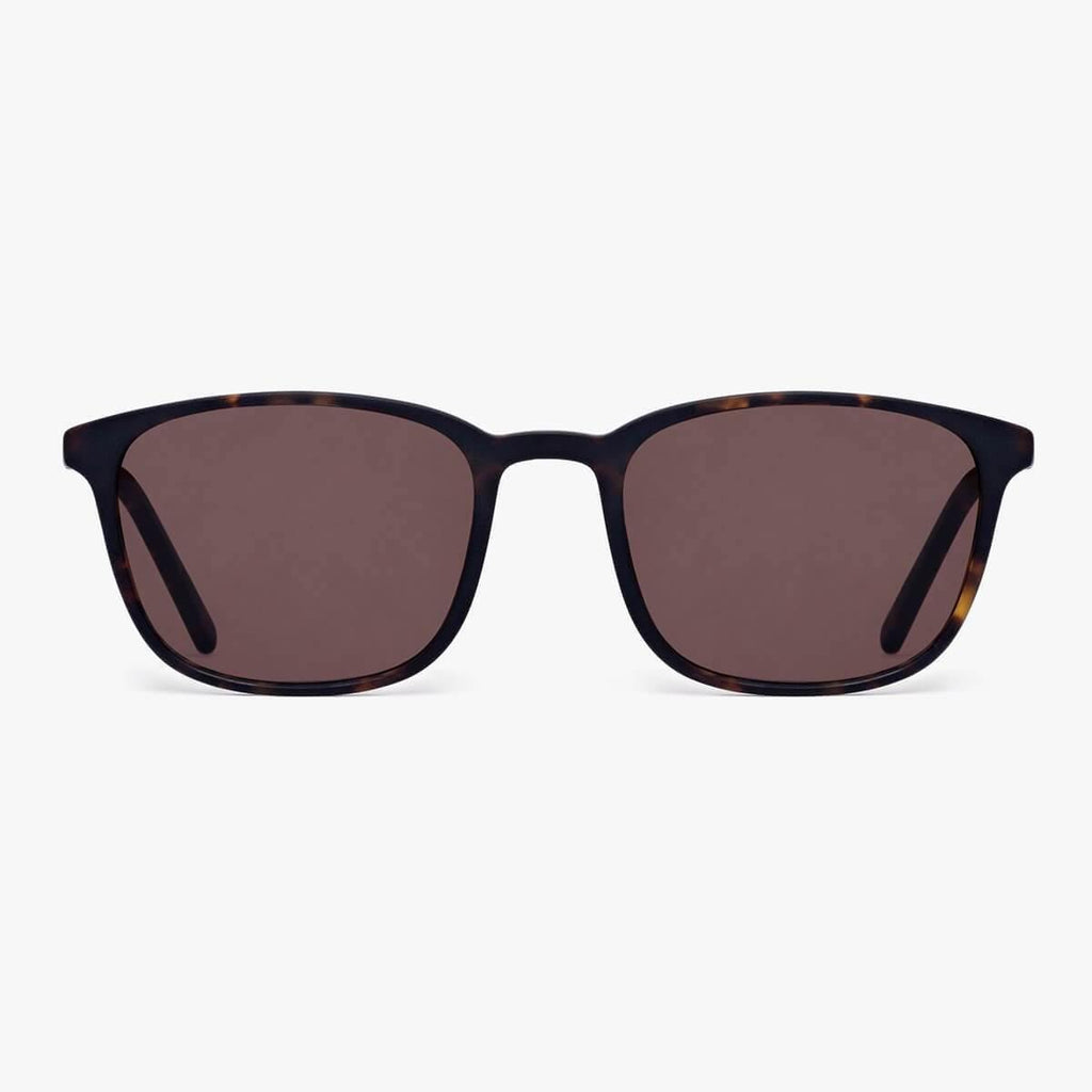 Buy Men's Taylor Dark Turtle Sunglasses - Luxreaders.com