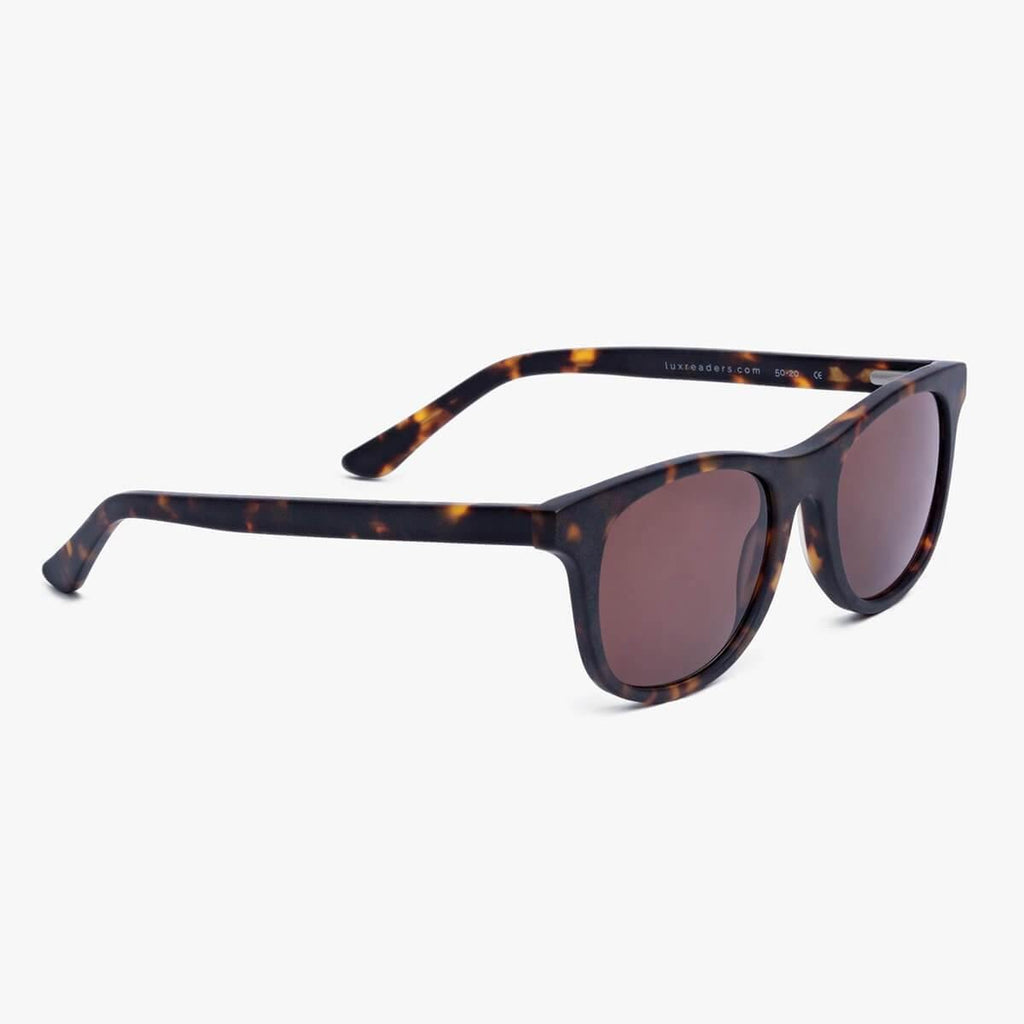 Men's Evans Dark Turtle Sunglasses - Luxreaders.com