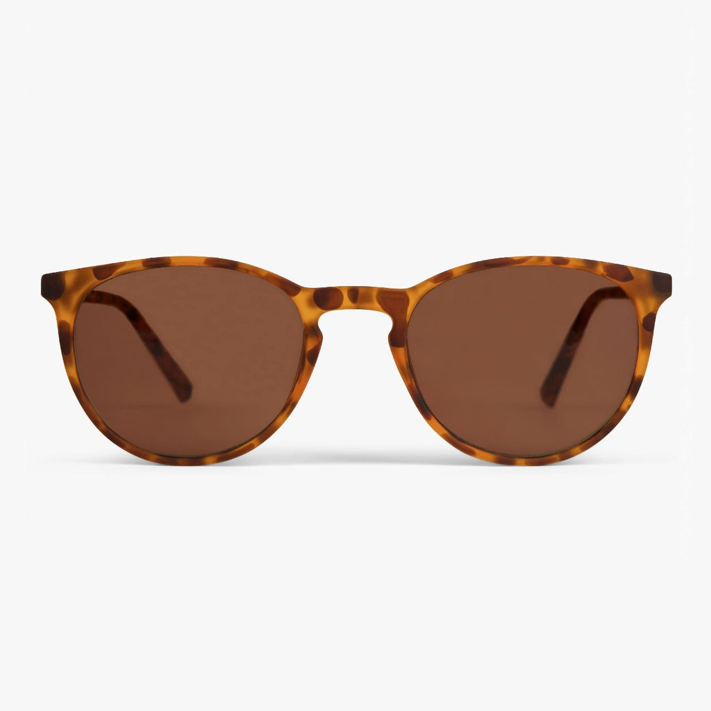 Buy Edwards Turtle Sunglasses - Luxreaders.com